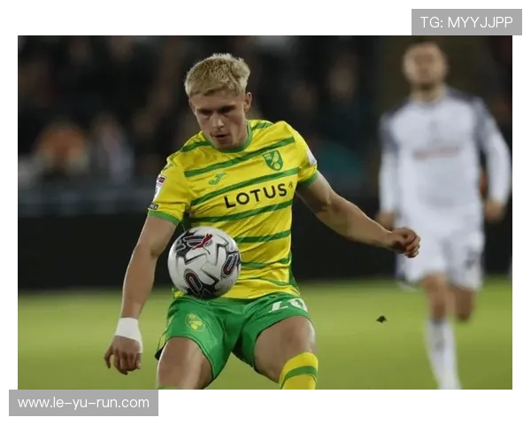 西布朗英冠冲刺关键期，冲超前景备受关注